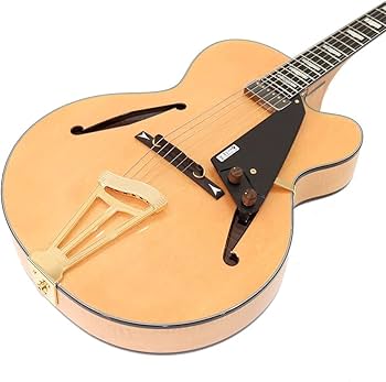 Fujigen/Masterfield MFA-FP 【フジゲン】【フルアコ】 Amazon | Fujigen (FGN) / Masterfield MFA-FP/JN (Jazz Natural